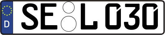 SE-L030