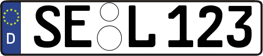 SE-L123