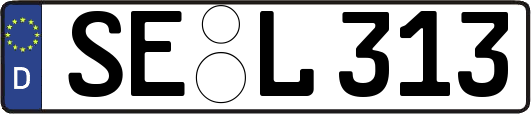 SE-L313