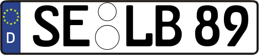 SE-LB89