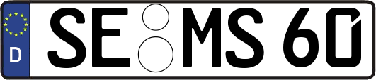 SE-MS60