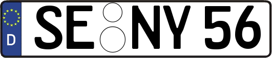 SE-NY56