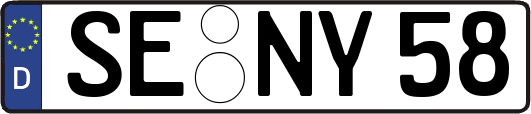 SE-NY58