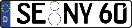 SE-NY60