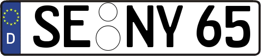 SE-NY65