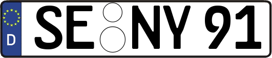 SE-NY91