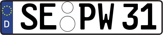 SE-PW31