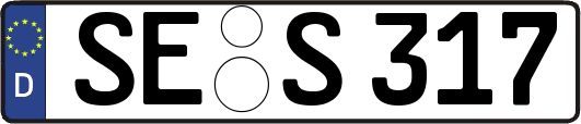 SE-S317