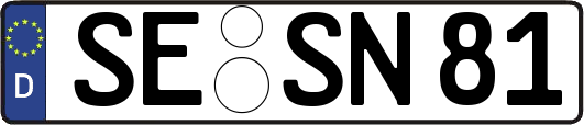 SE-SN81