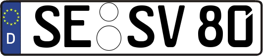 SE-SV80