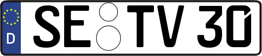 SE-TV30