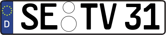 SE-TV31