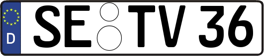 SE-TV36
