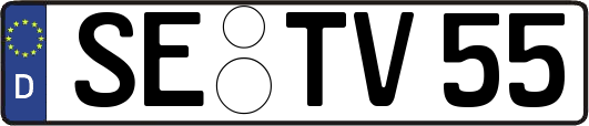 SE-TV55