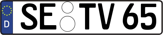 SE-TV65