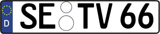 SE-TV66