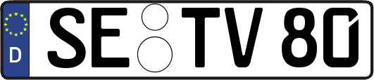SE-TV80