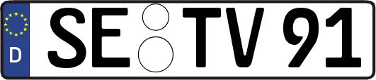 SE-TV91
