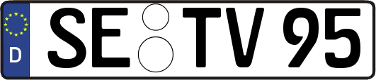 SE-TV95