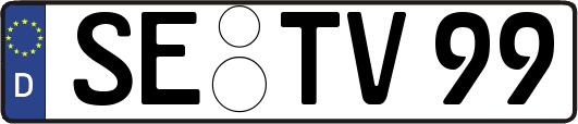 SE-TV99