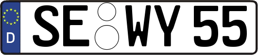 SE-WY55