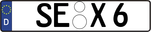 SE-X6