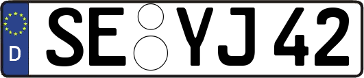 SE-YJ42