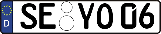 SE-YO06