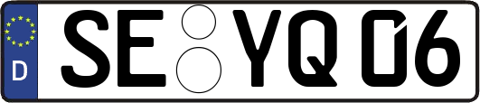 SE-YQ06