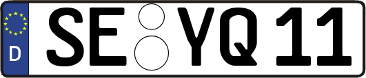 SE-YQ11
