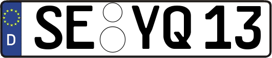 SE-YQ13