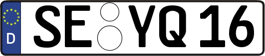 SE-YQ16