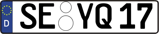 SE-YQ17