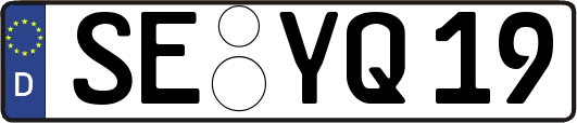 SE-YQ19