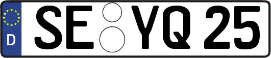 SE-YQ25