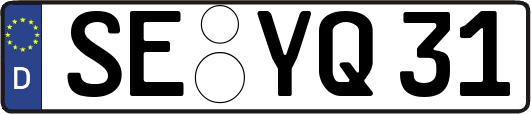SE-YQ31