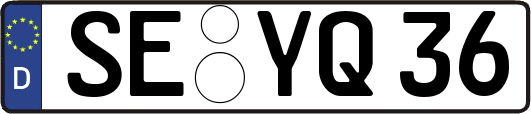 SE-YQ36