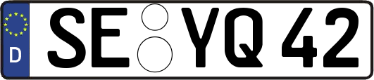 SE-YQ42