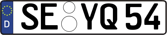 SE-YQ54
