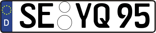 SE-YQ95