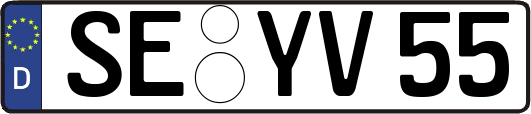 SE-YV55