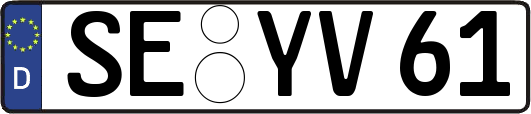 SE-YV61