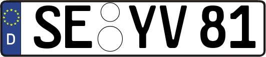 SE-YV81