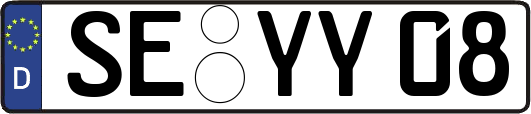 SE-YY08