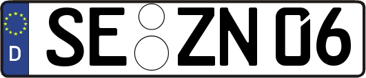 SE-ZN06