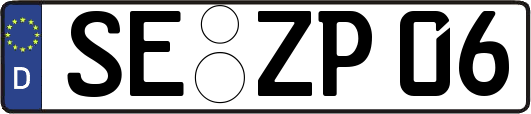 SE-ZP06