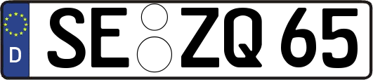 SE-ZQ65