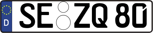 SE-ZQ80
