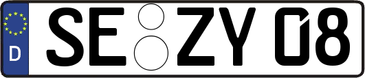 SE-ZY08