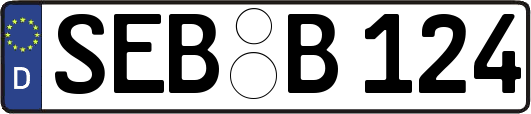 SEB-B124